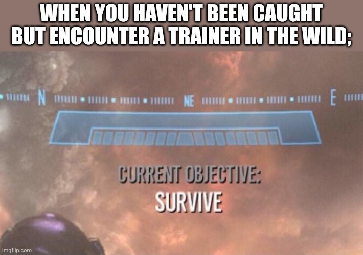 Current Objective: Survive | WHEN YOU HAVEN'T BEEN CAUGHT BUT ENCOUNTER A TRAINER IN THE WILD; | image tagged in current objective survive | made w/ Imgflip meme maker