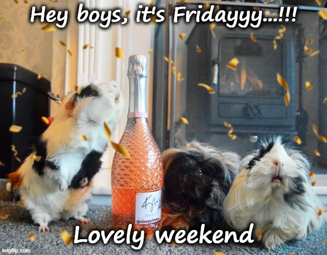 Friday | Hey boys, it's Fridayyy...!!! Lovely weekend | image tagged in friday,funny memes | made w/ Imgflip meme maker