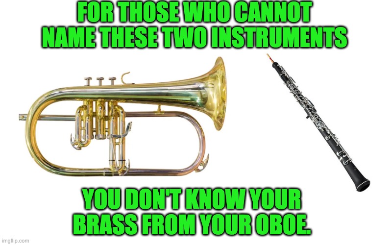 Instruments | FOR THOSE WHO CANNOT NAME THESE TWO INSTRUMENTS; YOU DON'T KNOW YOUR BRASS FROM YOUR OBOE. | image tagged in bad pun | made w/ Imgflip meme maker