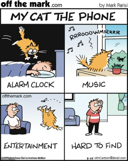 image tagged in memes,comics/cartoons,cats,acting,like,phone | made w/ Imgflip meme maker