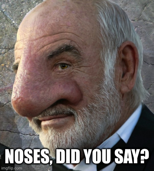 Connery big nose | NOSES, DID YOU SAY? | image tagged in connery big nose | made w/ Imgflip meme maker