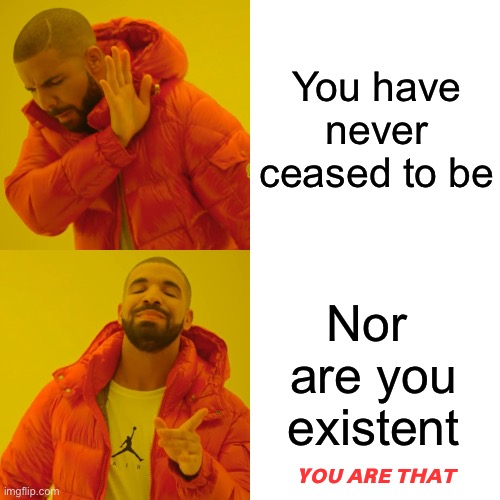 What am I? | You have never ceased to be; Nor 
are you existent; ʏᴏᴜ ᴀʀᴇ ᴛʜᴀᴛ | image tagged in memes,drake hotline bling | made w/ Imgflip meme maker