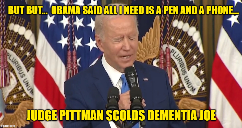 Not so fast Adolf...  this is the USA where we have 3 branches of government... | BUT BUT...  0BAMA SAID ALL I NEED IS A PEN AND A PHONE... JUDGE PITTMAN SCOLDS DEMENTIA JOE | image tagged in dictator,joe biden | made w/ Imgflip meme maker