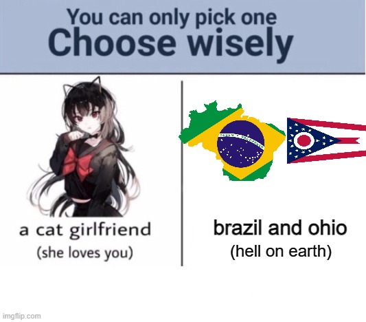 ohio and brasil | brazil and ohio; (hell on earth) | image tagged in choose wisely,memes,funny,funny memes | made w/ Imgflip meme maker