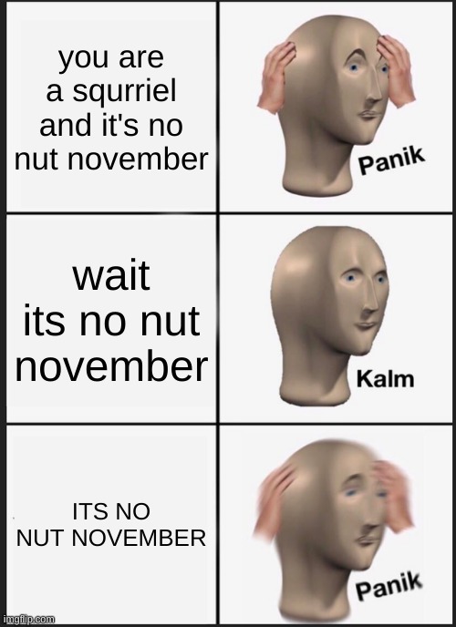 POV: you're a squirrel | you are a squirrel and it's no nut november; wait its no nut november; ITS NO NUT NOVEMBER | image tagged in memes,panik kalm panik | made w/ Imgflip meme maker