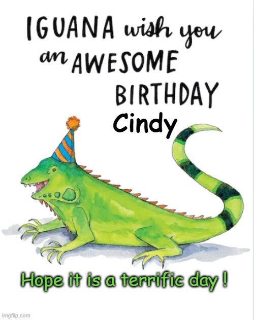 Happy Birthday Cindy | Cindy; Hope it is a terrific day ! | image tagged in iguana,cindy,birthday | made w/ Imgflip meme maker