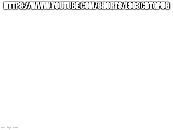 Blank White Template |  HTTPS://WWW.YOUTUBE.COM/SHORTS/LS03CBTGPUG | image tagged in blank white template | made w/ Imgflip meme maker