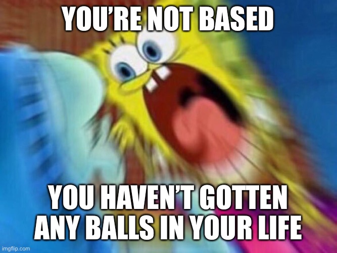 @dishwasher | YOU’RE NOT BASED; YOU HAVEN’T GOTTEN ANY BALLS IN YOUR LIFE | image tagged in triggered screaming spongebob | made w/ Imgflip meme maker