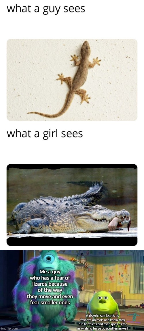Boy vs girl memes are sexist garbage fire that demeans women. Also, I did not make the boy vs girl meme. I just got that image a | Me a guy who has a fear of lizards because of the way they move and even fear smaller ones; Girls who see lizards as favorite animals and know they are harmless and even goes as far as wishing for pet crocodiles as well | image tagged in mike and sully face swap,no,boys vs girls,memes | made w/ Imgflip meme maker