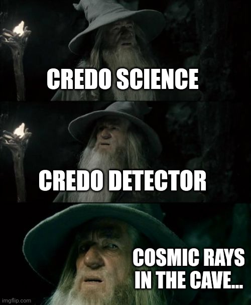 Confused Gandalf Meme | CREDO SCIENCE; CREDO DETECTOR; COSMIC RAYS IN THE CAVE... | image tagged in memes,confused gandalf | made w/ Imgflip meme maker