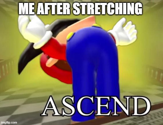 good stretch | ME AFTER STRETCHING | image tagged in smg4 mario ascends | made w/ Imgflip meme maker