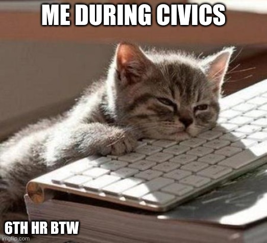 tired cat | ME DURING CIVICS; 6TH HR BTW | image tagged in tired cat | made w/ Imgflip meme maker