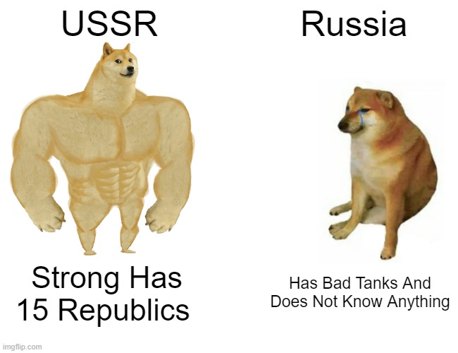 Buff Doge vs. Cheems Meme | USSR; Russia; Strong Has 15 Republics; Has Bad Tanks And Does Not Know Anything | image tagged in memes,buff doge vs cheems | made w/ Imgflip meme maker