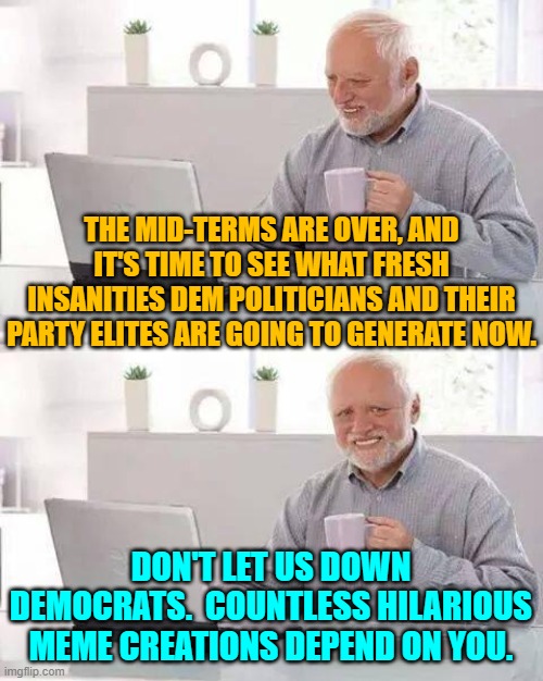 Back to the humor salt mines.  You hear that conservative memers? | THE MID-TERMS ARE OVER, AND IT'S TIME TO SEE WHAT FRESH INSANITIES DEM POLITICIANS AND THEIR PARTY ELITES ARE GOING TO GENERATE NOW. DON'T LET US DOWN DEMOCRATS.  COUNTLESS HILARIOUS MEME CREATIONS DEPEND ON YOU. | image tagged in hide the pain harold | made w/ Imgflip meme maker