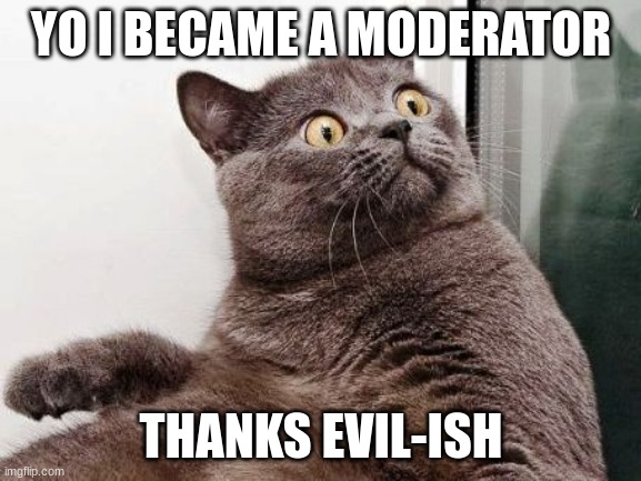 yay | YO I BECAME A MODERATOR; THANKS EVIL-ISH | image tagged in suprise cat | made w/ Imgflip meme maker