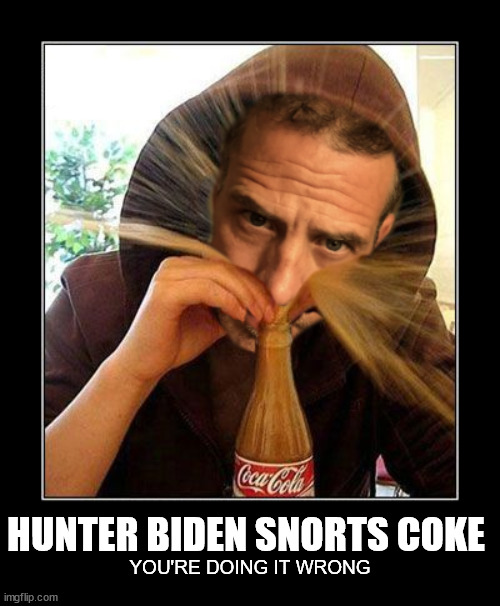 The Biden Legacy ... | HUNTER BIDEN SNORTS COKE; YOU'RE DOING IT WRONG | image tagged in hunter biden,coke,youre doing it wrong meme,joe biden,democrats,libtards | made w/ Imgflip meme maker