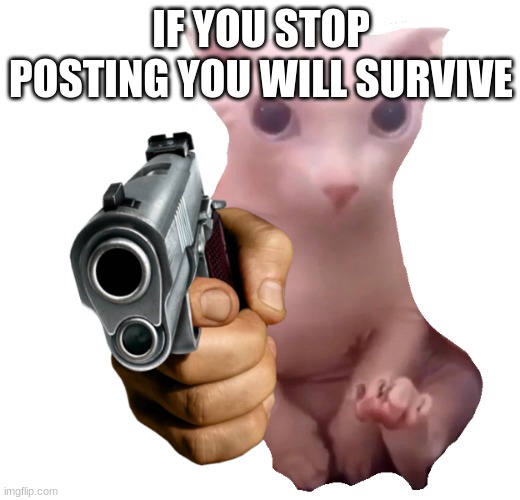 Gun Bingus | IF YOU STOP POSTING YOU WILL SURVIVE | image tagged in gun bingus | made w/ Imgflip meme maker