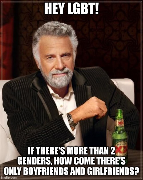 The Most Interesting Man In The World | HEY LGBT! IF THERE'S MORE THAN 2 GENDERS, HOW COME THERE'S ONLY BOYFRIENDS AND GIRLFRIENDS? | image tagged in memes,the most interesting man in the world | made w/ Imgflip meme maker