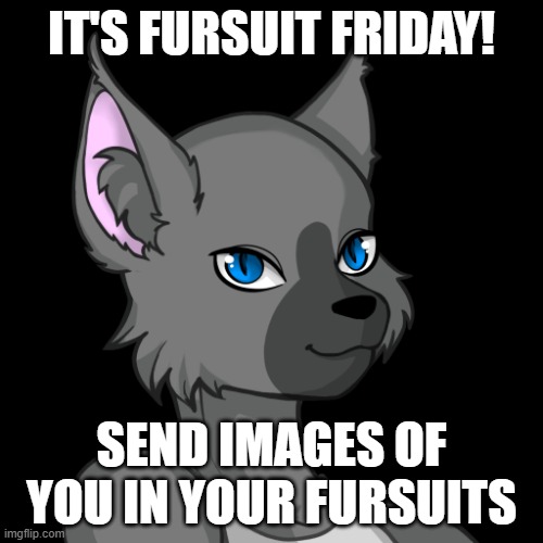 IT'S FURSUIT FRIDAY! SEND IMAGES OF YOU IN YOUR FURSUITS | image tagged in travis the bluesteel folf spartan | made w/ Imgflip meme maker