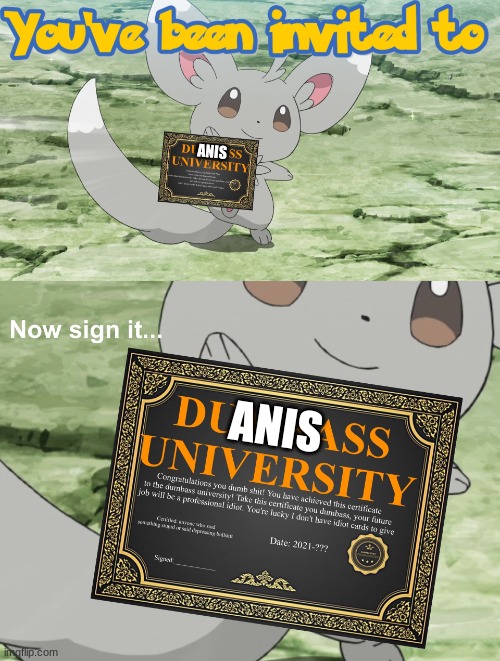 You've been invited to dumbass university | ANIS; ANIS | image tagged in you've been invited to dumbass university | made w/ Imgflip meme maker