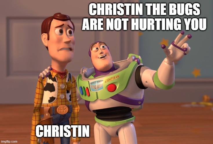 meme | CHRISTIN THE BUGS ARE NOT HURTING YOU; CHRISTIN | image tagged in memes,x x everywhere | made w/ Imgflip meme maker