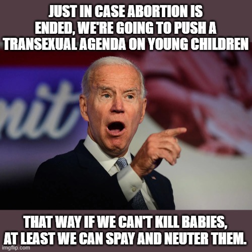 If there was any truthfulness in the castration and hysterectomy for children party | JUST IN CASE ABORTION IS ENDED, WE'RE GOING TO PUSH A TRANSEXUAL AGENDA ON YOUNG CHILDREN; THAT WAY IF WE CAN'T KILL BABIES, AT LEAST WE CAN SPAY AND NEUTER THEM. | image tagged in angry joe biden pointing | made w/ Imgflip meme maker