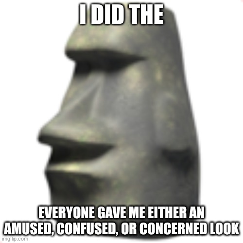 moai | I DID THE; EVERYONE GAVE ME EITHER AN AMUSED, CONFUSED, OR CONCERNED LOOK | image tagged in moai | made w/ Imgflip meme maker