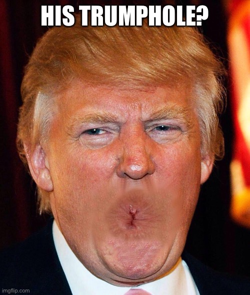 Trump | HIS TRUMPHOLE? | image tagged in trump | made w/ Imgflip meme maker