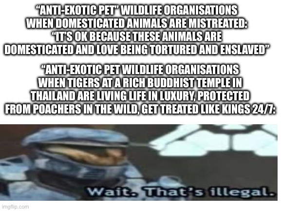 “Anti exotic pet” wildlife organisations be like: |  “ANTI-EXOTIC PET” WILDLIFE ORGANISATIONS WHEN DOMESTICATED ANIMALS ARE MISTREATED:
“IT’S OK BECAUSE THESE ANIMALS ARE DOMESTICATED AND LOVE BEING TORTURED AND ENSLAVED”; “ANTI-EXOTIC PET WILDLIFE ORGANISATIONS WHEN TIGERS AT A RICH BUDDHIST TEMPLE IN THAILAND ARE LIVING LIFE IN LUXURY, PROTECTED FROM POACHERS IN THE WILD, GET TREATED LIKE KINGS 24/7: | image tagged in blank white template,wildlife,funny,fun,animals | made w/ Imgflip meme maker