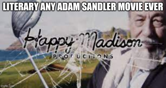 LITERARY ANY ADAM SANDLER MOVIE EVER | image tagged in memes | made w/ Imgflip meme maker