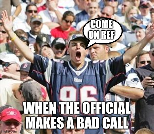 bad ref calls be like | COME ON REF; WHEN THE OFFICIAL MAKES A BAD CALL | image tagged in sports fans | made w/ Imgflip meme maker