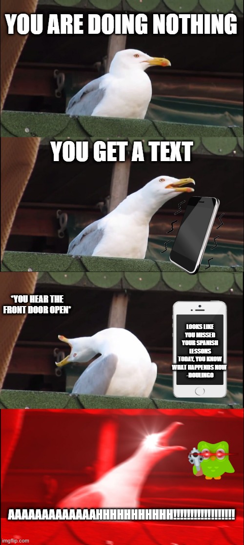 DON'T MISS YOUR SPANISH LESSONS | YOU ARE DOING NOTHING; YOU GET A TEXT; *YOU HEAR THE FRONT DOOR OPEN*; LOOKS LIKE YOU MISSED YOUR SPANISH LESSONS TODAY, YOU KNOW WHAT HAPPENDS NOW 
-DOULINGO; AAAAAAAAAAAAAHHHHHHHHHHH!!!!!!!!!!!!!!!!!! | image tagged in memes,inhaling seagull | made w/ Imgflip meme maker