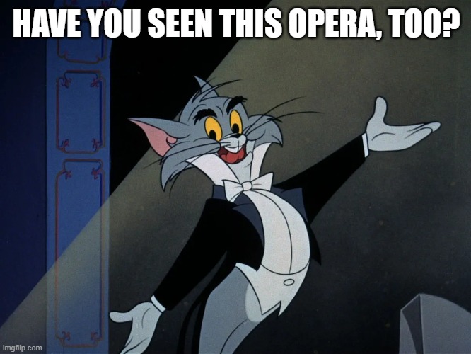 HAVE YOU SEEN THIS OPERA, TOO? | made w/ Imgflip meme maker