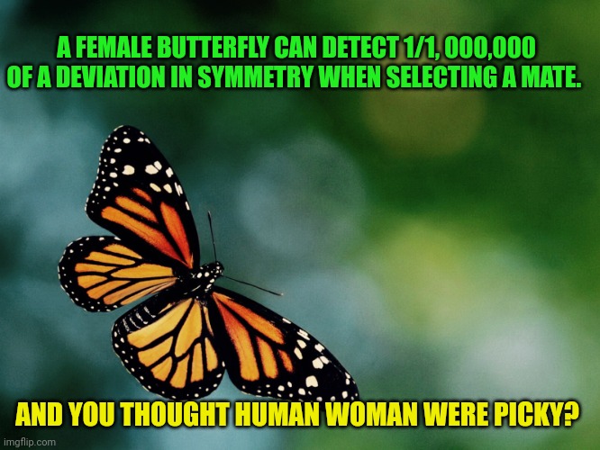 Butterfly | A FEMALE BUTTERFLY CAN DETECT 1/1, 000,000 OF A DEVIATION IN SYMMETRY WHEN SELECTING A MATE. AND YOU THOUGHT HUMAN WOMAN WERE PICKY? | image tagged in butterfly,dating,woman,men | made w/ Imgflip meme maker