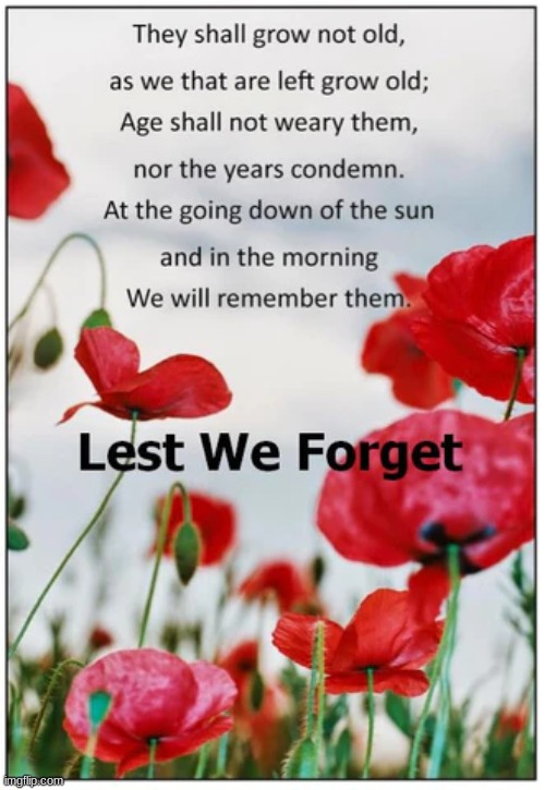 lest we forget | image tagged in ww1,lest we forget | made w/ Imgflip meme maker