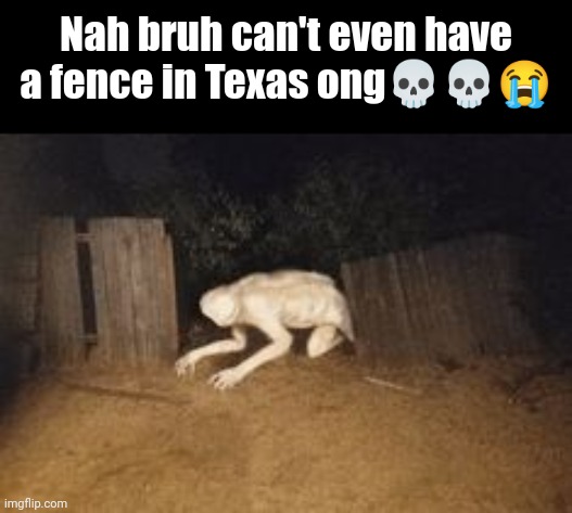 Only in Texas ? | Nah bruh can't even have a fence in Texas ong💀💀😭 | image tagged in ohio,texas,skull,goofy stupid liberal college student | made w/ Imgflip meme maker