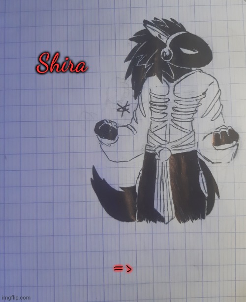 Shira | Shira; => | image tagged in shira | made w/ Imgflip meme maker