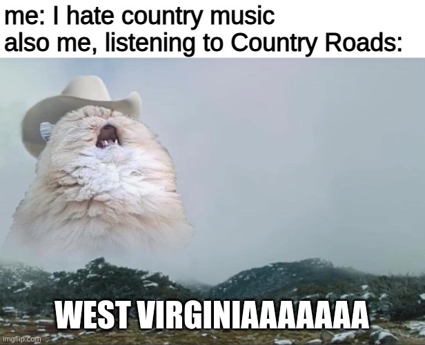 country music does hit different | me: I hate country music
also me, listening to Country Roads:; WEST VIRGINIAAAAAAA | image tagged in screaming cowboy cat | made w/ Imgflip meme maker
