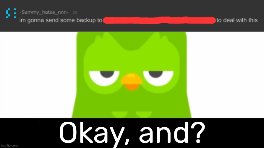 Bro is trying too hard....smh.... | Okay, and? | image tagged in duolingo was unimpressed,idk,stuff,s o u p,carck | made w/ Imgflip meme maker