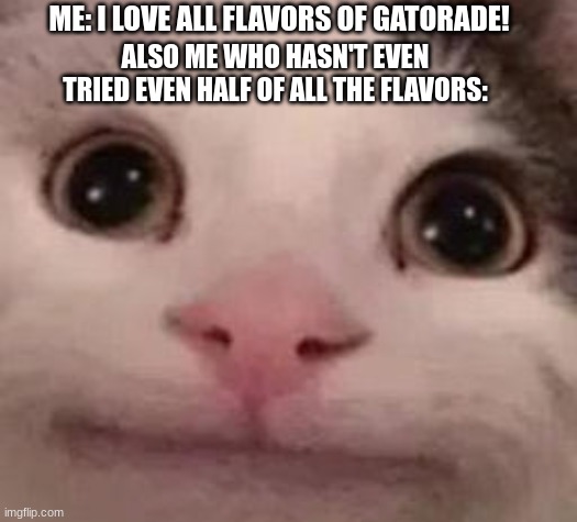 I am still counting how many I have not tried yet... | ME: I LOVE ALL FLAVORS OF GATORADE! ALSO ME WHO HASN'T EVEN TRIED EVEN HALF OF ALL THE FLAVORS: | image tagged in gatorade,belugacat,why are you reading the tags,stop reading the tags | made w/ Imgflip meme maker