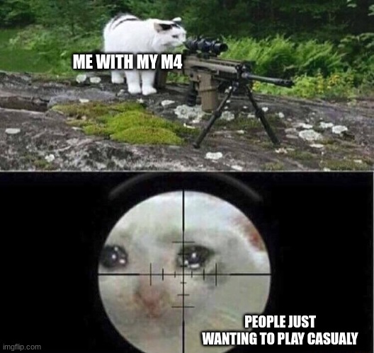 COD be like | ME WITH MY M4; PEOPLE JUST WANTING TO PLAY CASUALY | image tagged in sniper cat | made w/ Imgflip meme maker