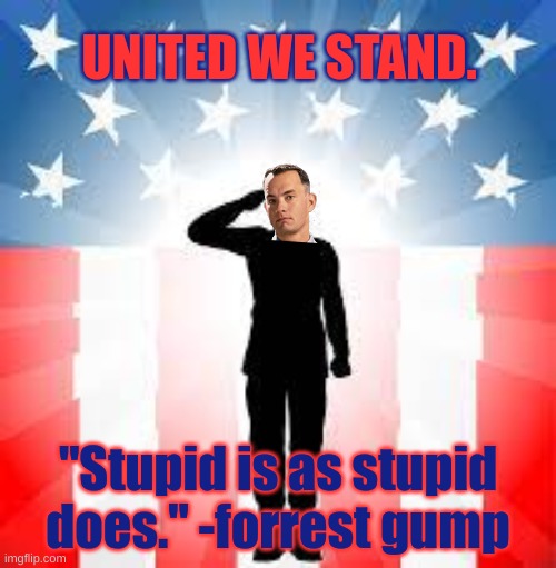 Most patriotic think I could come up with. Verterens thank you for your service! | UNITED WE STAND. "Stupid is as stupid does." -forrest gump | image tagged in forrest gump,patriotic,veterans day | made w/ Imgflip meme maker