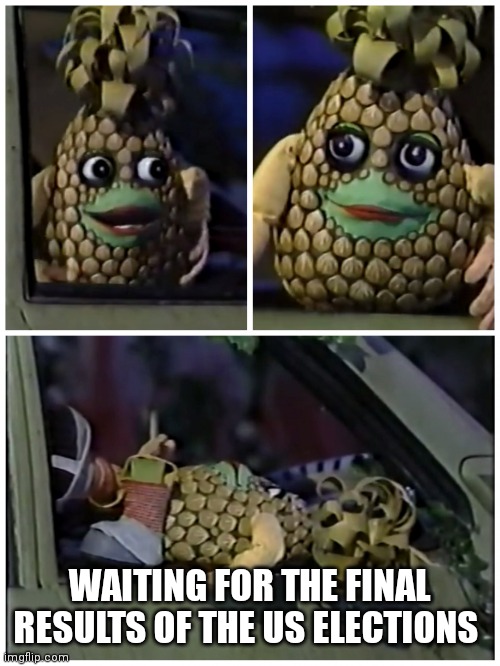 Ananas waiting | WAITING FOR THE FINAL RESULTS OF THE US ELECTIONS | image tagged in ananas waiting | made w/ Imgflip meme maker