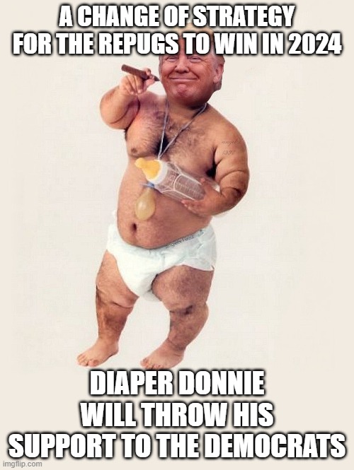 tiny hands, biggest loser, | A CHANGE OF STRATEGY FOR THE REPUGS TO WIN IN 2024; DIAPER DONNIE WILL THROW HIS SUPPORT TO THE DEMOCRATS | image tagged in diaper donny | made w/ Imgflip meme maker