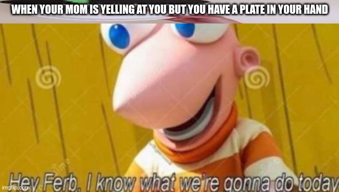 moomy? | WHEN YOUR MOM IS YELLING AT YOU BUT YOU HAVE A PLATE IN YOUR HAND | image tagged in hey ferb,phinies and ferb,ow | made w/ Imgflip meme maker