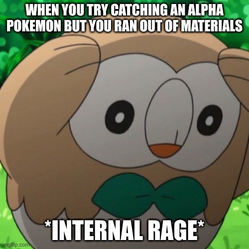 Rowlet Meme Template | WHEN YOU TRY CATCHING AN ALPHA POKEMON BUT YOU RAN OUT OF MATERIALS; *INTERNAL RAGE* | image tagged in rowlet meme template | made w/ Imgflip meme maker