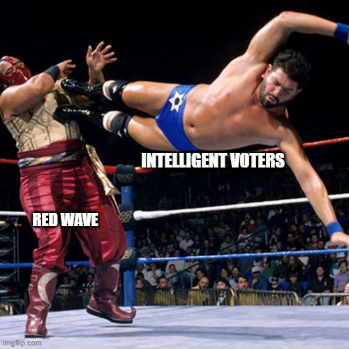 Crashing the red wave | INTELLIGENT VOTERS; RED WAVE | image tagged in pro wrestling,wrestling,democrats,republicans | made w/ Imgflip meme maker