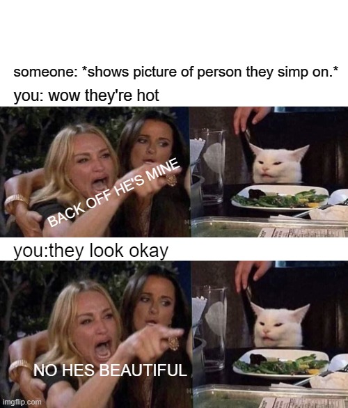 simps | someone: *shows picture of person they simp on.*; you: wow they're hot; BACK OFF HE'S MINE; you:they look okay; NO HES BEAUTIFUL | image tagged in memes | made w/ Imgflip meme maker