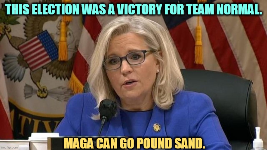 Liz Cheney | THIS ELECTION WAS A VICTORY FOR TEAM NORMAL. MAGA CAN GO POUND SAND. | image tagged in liz cheney,normal,winners,maga,losers | made w/ Imgflip meme maker