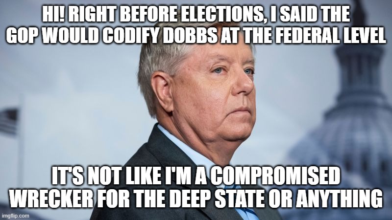 why no | HI! RIGHT BEFORE ELECTIONS, I SAID THE GOP WOULD CODIFY DOBBS AT THE FEDERAL LEVEL; IT'S NOT LIKE I'M A COMPROMISED WRECKER FOR THE DEEP STATE OR ANYTHING | image tagged in memes | made w/ Imgflip meme maker